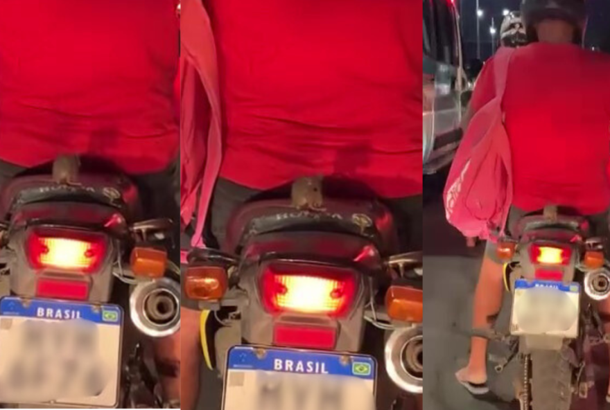 rato-curioso-22pegando-carona22-em-moto-viraliza-nas-redes-sociais-do-cariri-cearense rato-curioso-22pegando-carona22-em-moto-viraliza-nas-redes-sociais-do-cariri-cearense
