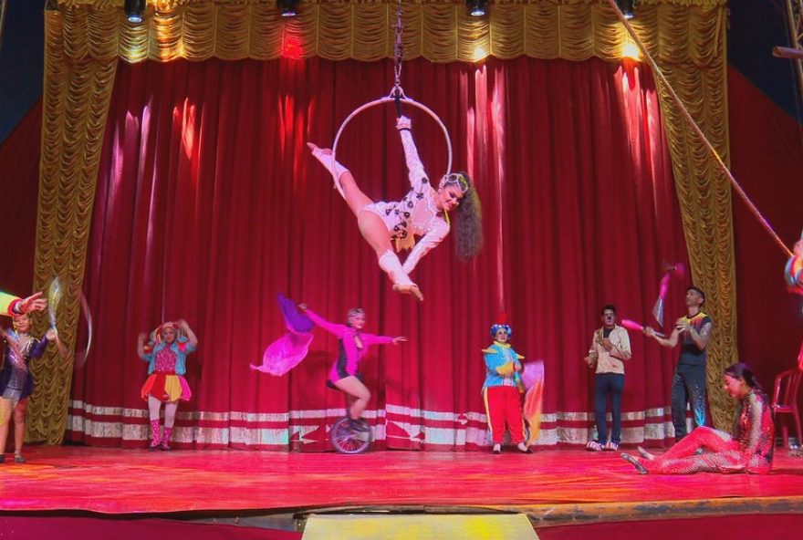 real-circo-em-salvador3A-espetaculo-internacional-e-inedito-com-valores-a-partir-de-r2435 real-circo-em-salvador3A-espetaculo-internacional-e-inedito-com-valores-a-partir-de-r2435