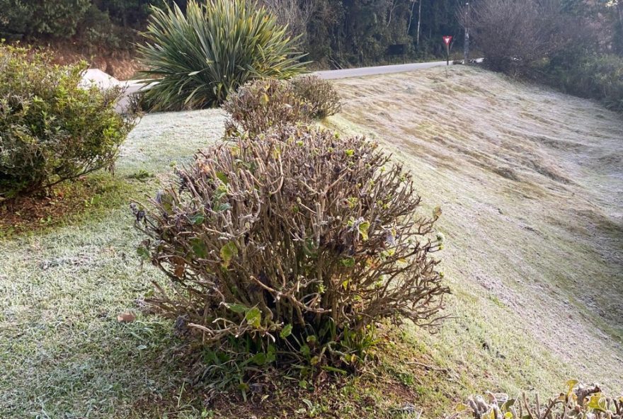 recorde-de-frio-em-campos-do-jordao3A-minima-de-12C2degc-surpreende-moradores-e-turistas