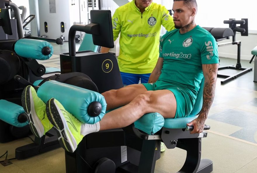 recuperacao-de-weverton-e-paulinho3A-medico-do-palmeiras-demonstra-otimismo-para-temporada-de-2026 recuperacao-de-weverton-e-paulinho3A-medico-do-palmeiras-demonstra-otimismo-para-temporada-de-2026