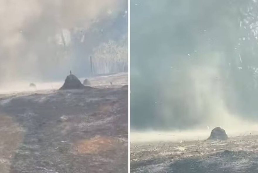 redemoinho-de-cinzas-impressiona-bombeiros-em-goias3B-veja-video
