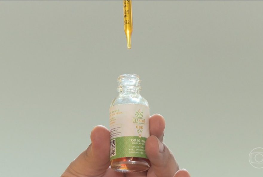 regras-para-cultivo-de-cannabis-medicinal-no-brasil3A-tudo-que-voce-precisa-saber regras-para-cultivo-de-cannabis-medicinal-no-brasil3A-tudo-que-voce-precisa-saber