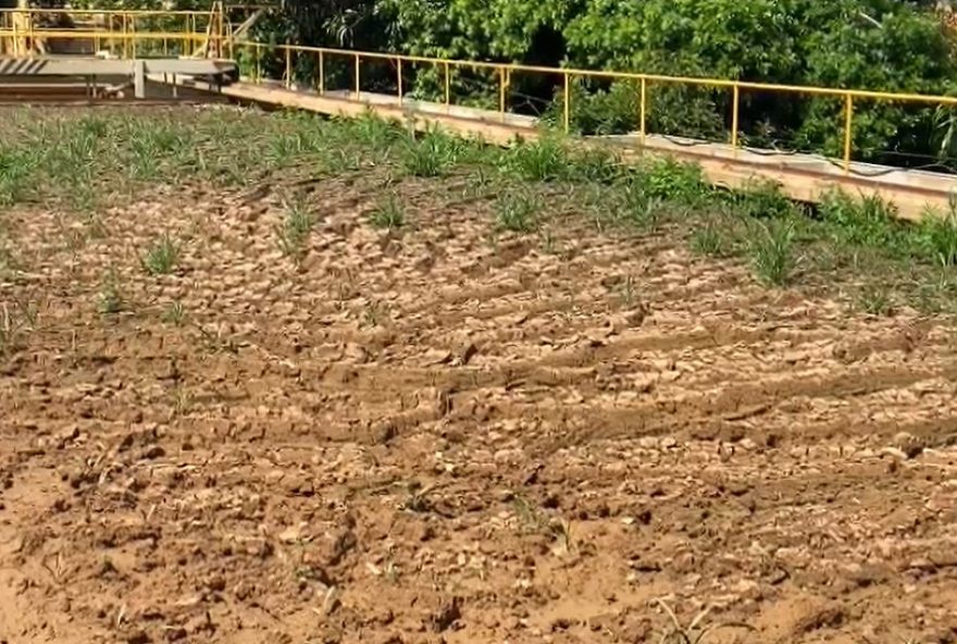 remocao-urgente-de-lodo-em-estacao-de-tratamento-de-agua-de-piracicaba3A-medidas-para-evitar-escassez-e-impactos-ambientais