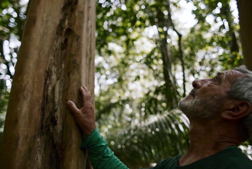 reserva-ecologica-de-guapiacu3A-turismo-sustentavel-na-mata-atlantica