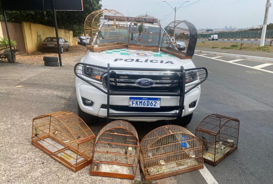 resgate-de-aves-silvestres-ilegalmente-mantidas-em-hortolandia3A-policia-ambiental-atua-para-proteger-a-fauna-local