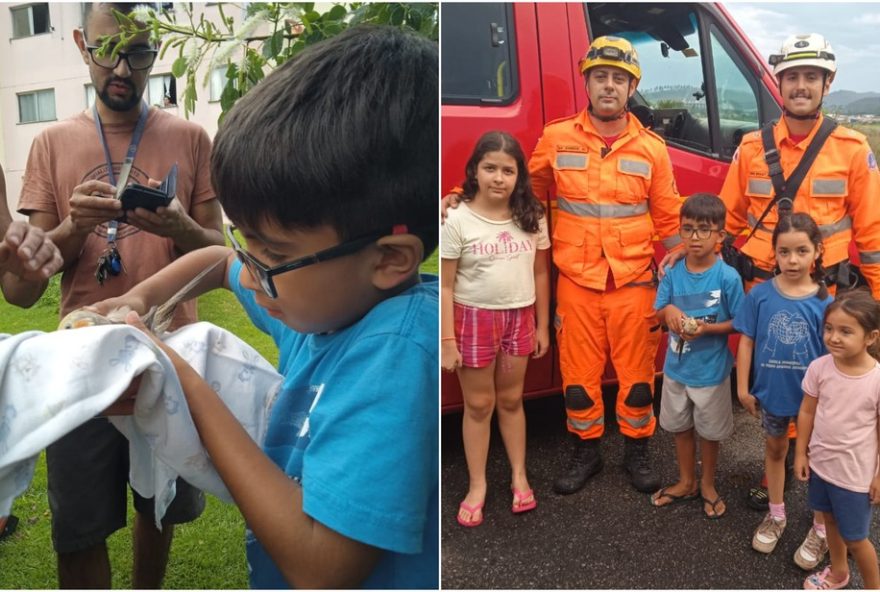 resgates-de-animais-no-sul-de-minas3A-calopsita2C-cavalo2C-cobra-e-arara-caninde-sao-salvos-pelos-bombeiros-de-pocos-de-caldas