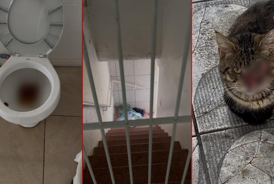 responsavel-por-lar-de-idosos-insalubre-e-presa-apos-interdicao-no-rs