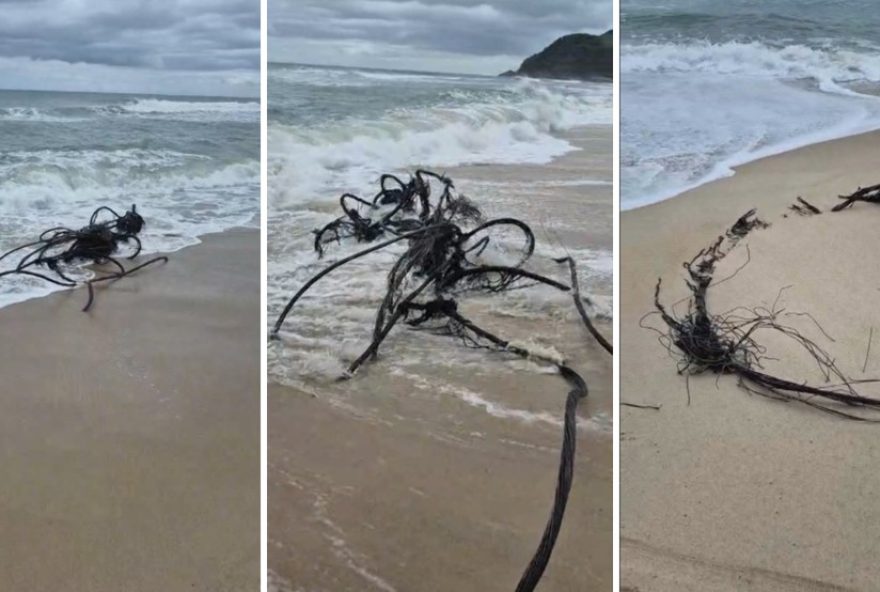 ressaca-no-litoral-de-sp3A-cabos-de-fibra-optica-expostos-na-praia-de-maresias ressaca-no-litoral-de-sp3A-cabos-de-fibra-optica-expostos-na-praia-de-maresias