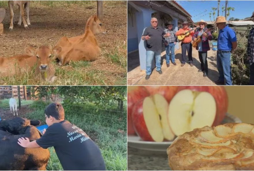 reviva-as-reportagens-especiais-do-nosso-campo-deste-domingo2C-18-de-janeiro3A-gado-jersey2C-nomes-aos-animais2C-cururueiros-e-receita-de-bolo-de-maca
