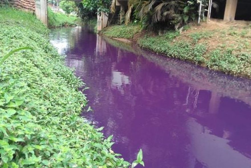 Rio fica roxo em Joinville e moradores denunciam poluição (Reprodução/Redes Sociais)