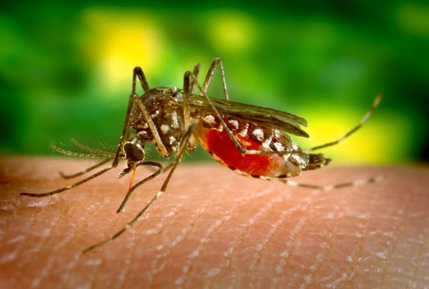 rio-de-janeiro-amplia-vacinacao-contra-dengue-para-menores-de-16-anos