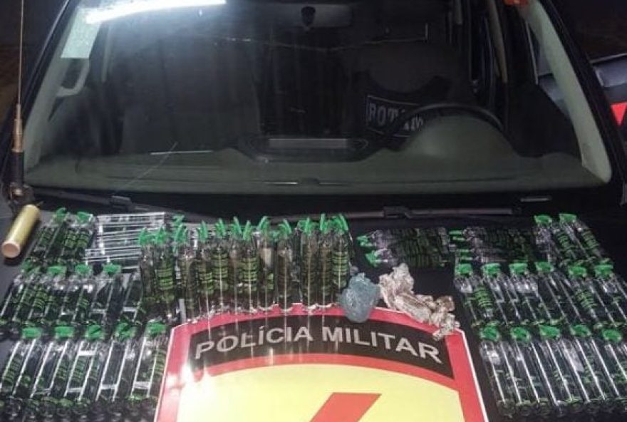 Foto: Polícia Militar/Reprodução