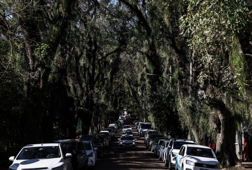 rua-goncalo-de-carvalho3A-a-rua-mais-bonita-do-mundo-com-tunel-verde-de-mais-de-100-arvores rua-goncalo-de-carvalho3A-a-rua-mais-bonita-do-mundo-com-tunel-verde-de-mais-de-100-arvores