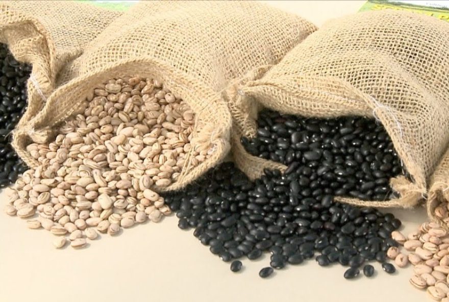 santa-catarina-zera-icms-de-alimentos-da-cesta-basica3A-arroz2C-feijao-e-farinhas