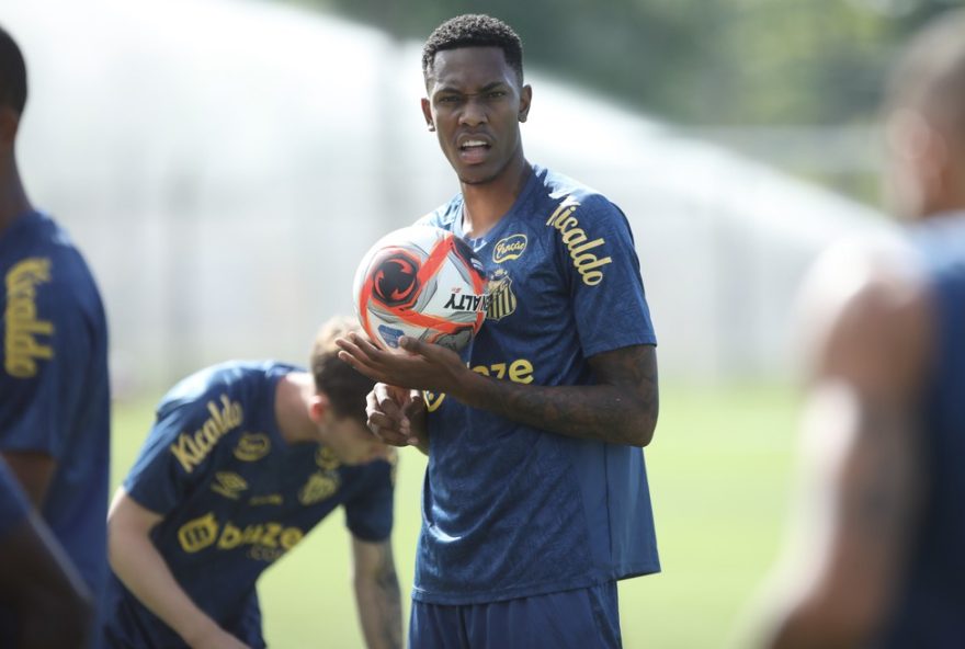santos-negocia-emprestimo-de-luisao-para-o-goias3A-novidades-no-elenco-para-a-proxima-temporada SP - SANTOS - 27/01/2025 - SANTOS, TREINO - Luisao jogador do Santos durante treino no Centro de Treinamento CT Rei Pele. Foto: Reinaldo Campos/AGIF