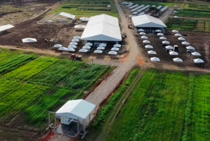 sebrae2Fce-oferece-consultorias-e-atendimento-especializado-na-expocariri-2025