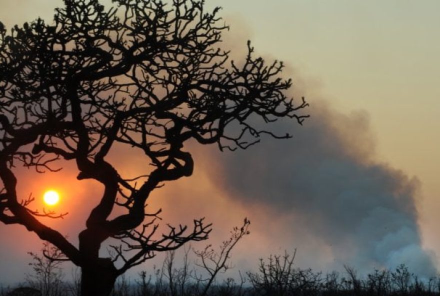 Baixa umidade do ar causa lesão sistema respiratório e gera prejuízos na saúde dos goianos (Foto: Arquivo/ Agência Brasil)