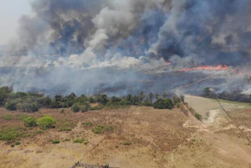 semad_chapada-750x375