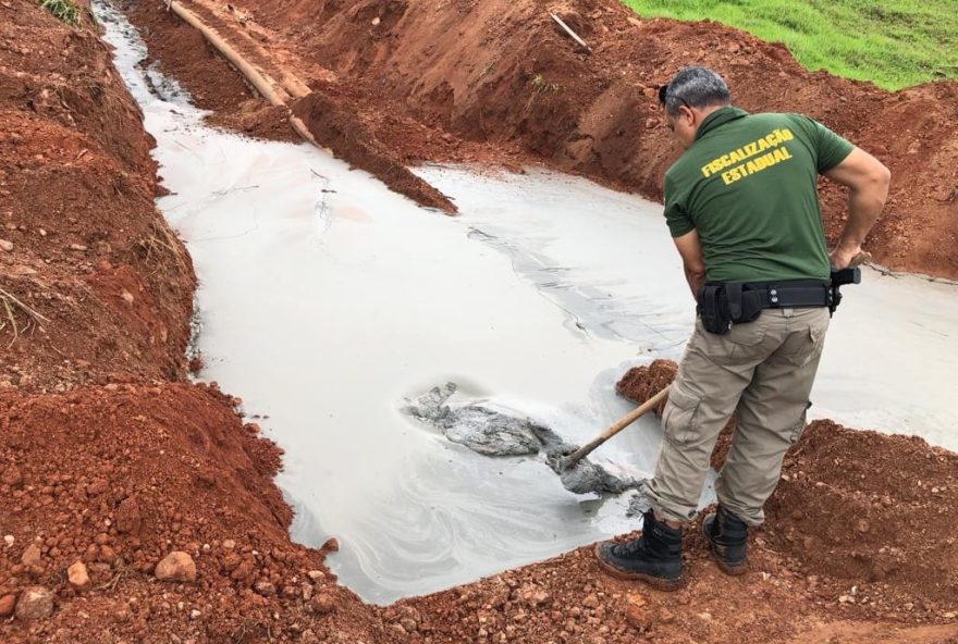 Pilar de Goiás: MP-Go consegue aumentar valor de multa aplicada em mineradora que causou danos ambientais na cidade