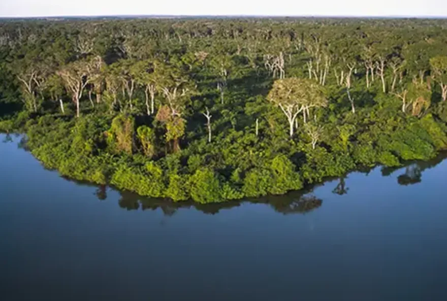 Sessão inaugural do Fórum Goiano de Mudanças Climáticas e Desenvolvimento Sustentável será aberta com palestra magna da secretária de Meio Ambiente de Goiás, Andréa Vulcanis, com o tema “Interseccionalidade entre Clima, Água e Biodiversidade” (Foto: Semad-GO)