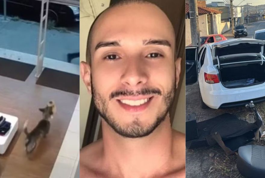 semana-de-14-a-20-de-junho3A-cachorro-fura-urso-de-pelucia2C-assassinato-premeditado-e-fuga-com-carro-clonado-em-destaque