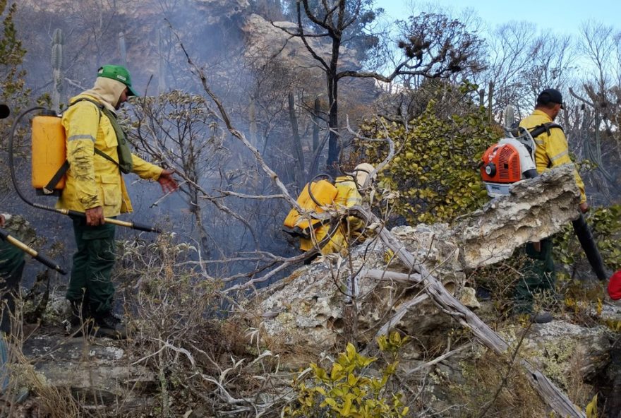 semas-abre-112-vagas-para-brigadistas-florestais-no-para3A-inscricoes-e-beneficios semas-abre-112-vagas-para-brigadistas-florestais-no-para3A-inscricoes-e-beneficios