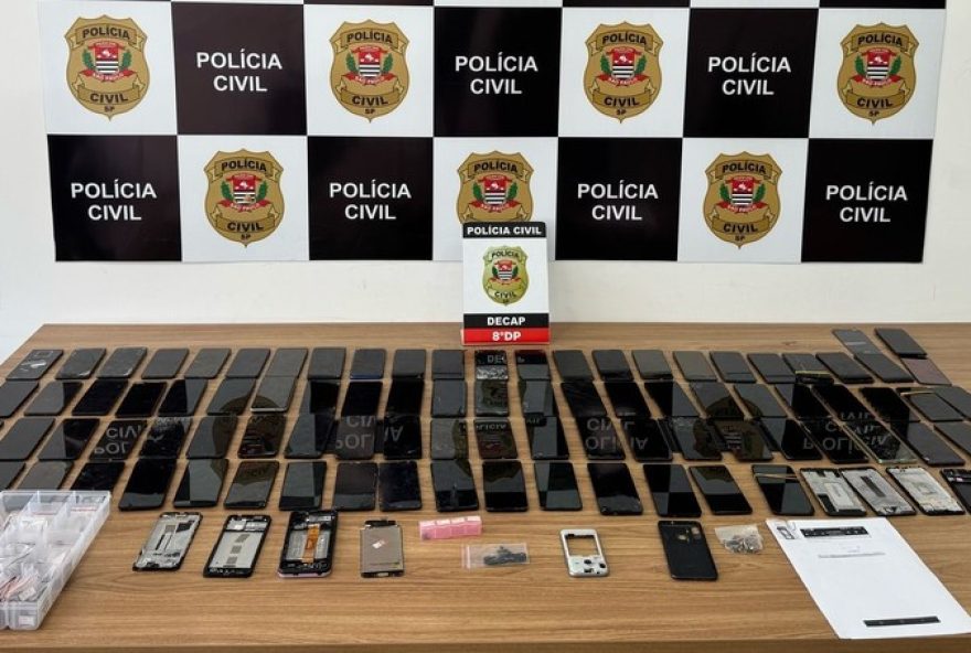 senado-aprova-lei-que-torna-crime-furto-e-receptacao-de-animais-domesticos senado-aprova-lei-que-torna-crime-furto-e-receptacao-de-animais-domesticos