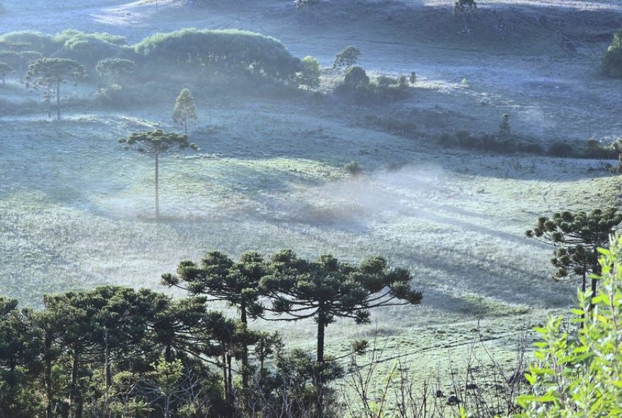 serra-catarinense-surpreende-com-geada-em-pleno-verao3A-sao-joaquim-registra-temperaturas-abaixo-de-5oc