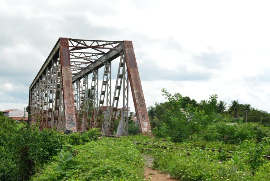 sertao-de-crateus3A-crescimento-e-desenvolvimento-impulsionados-pela-agropecuaria-e-apoio-do-sebrae