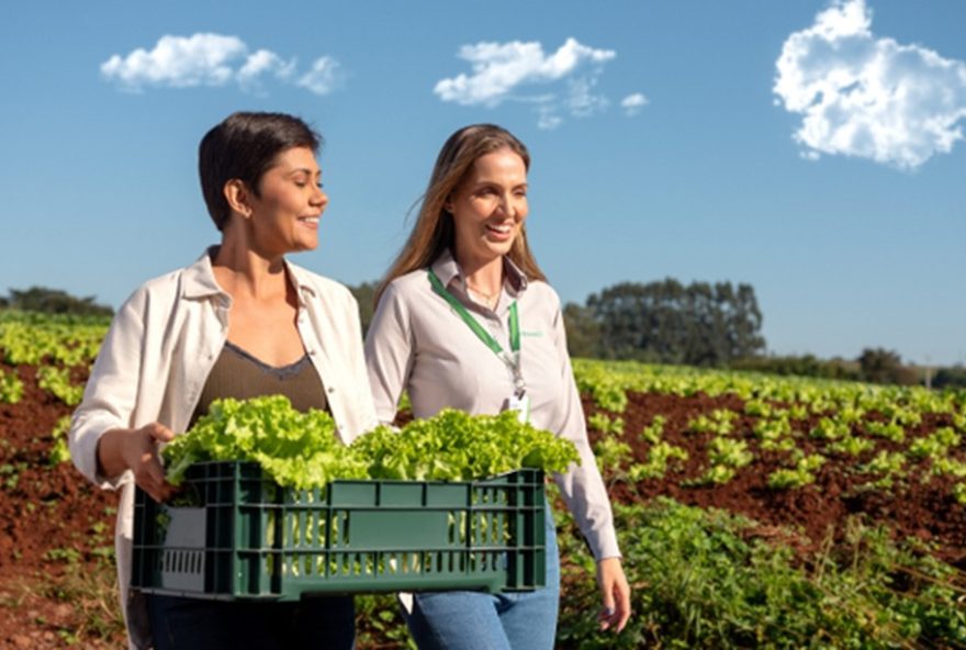 sicredi-planeja-plano-safra-20252F2026-e-oferece-solucoes-completas-aos-produtores3A-saiba-mais