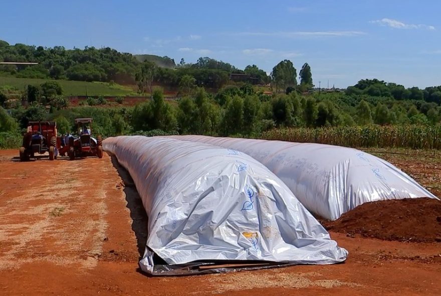 silagem3A-essencial-para-pecuaristas-durante-a-seca-com-metodos-inovadores