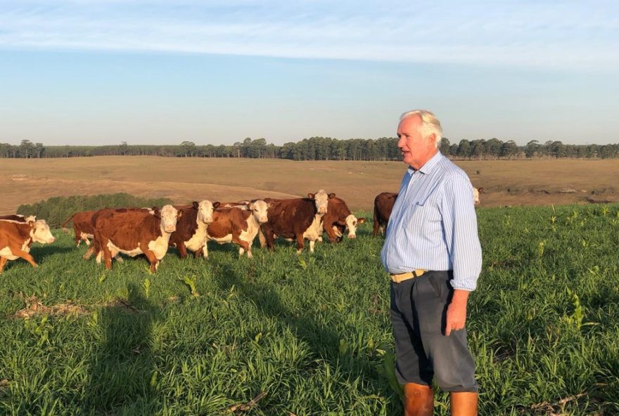 sucessao-familiar-no-agronegocio3A-tradicao2C-inovacao-e-tecnologia-no-legado-de-aldo-vendramin sucessao-familiar-no-agronegocio3A-tradicao2C-inovacao-e-tecnologia-no-legado-de-aldo-vendramin