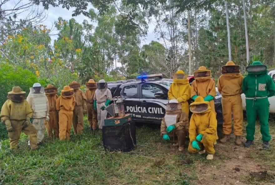 suspeito-de-furto-de-colmeias-em-mg-e-preso-na-operacao-favo-de-mel-56-colmeias-recuperadas-policia-civil-atua