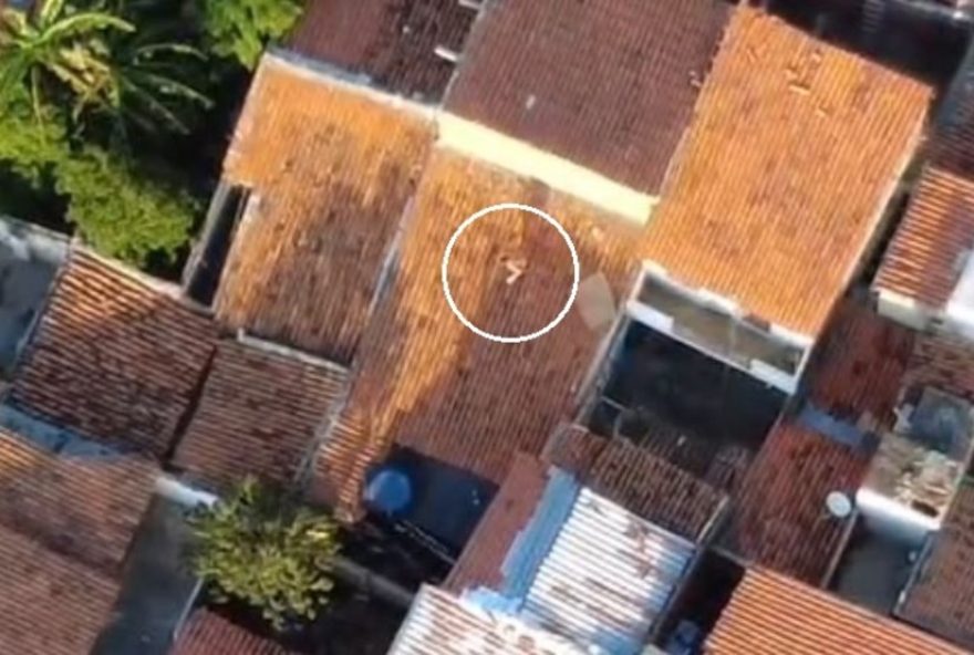 suspeito-de-trafico-e-capturado-ao-tentar-escapar-da-policia-pelos-telhados-em-sobral2C-ceara suspeito-de-trafico-e-capturado-ao-tentar-escapar-da-policia-pelos-telhados-em-sobral2C-ceara