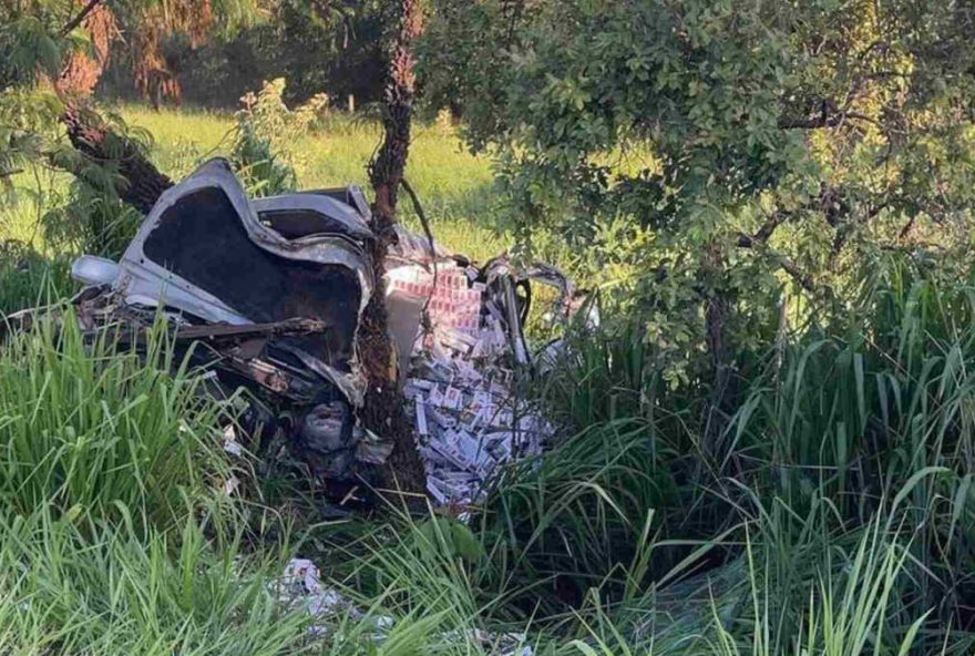 suspeitos-de-aplicar-golpe-milionario-sao-presos-em-operacao-policial suspeitos-de-aplicar-golpe-milionario-sao-presos-em-operacao-policial