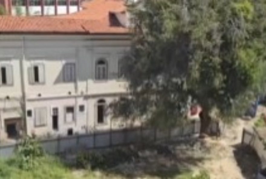 suspensao-de-obras-no-colegio-bennett-no-flamengo3A-justica-proibe-corte-de-arvores-para-construcao-de-predio-tombado suspensao-de-obras-no-colegio-bennett-no-flamengo3A-justica-proibe-corte-de-arvores-para-construcao-de-predio-tombado