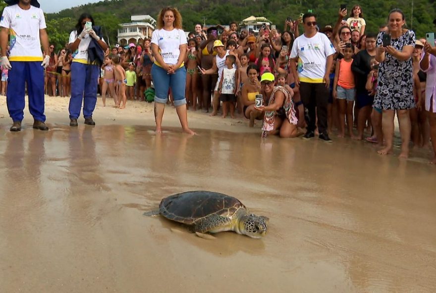 tartaruga-maricota-resgatada-com-linha-de-pesca-volta-ao-mar-apos-reabilitacao3A-uma-vitoria-para-a-vida-marinha