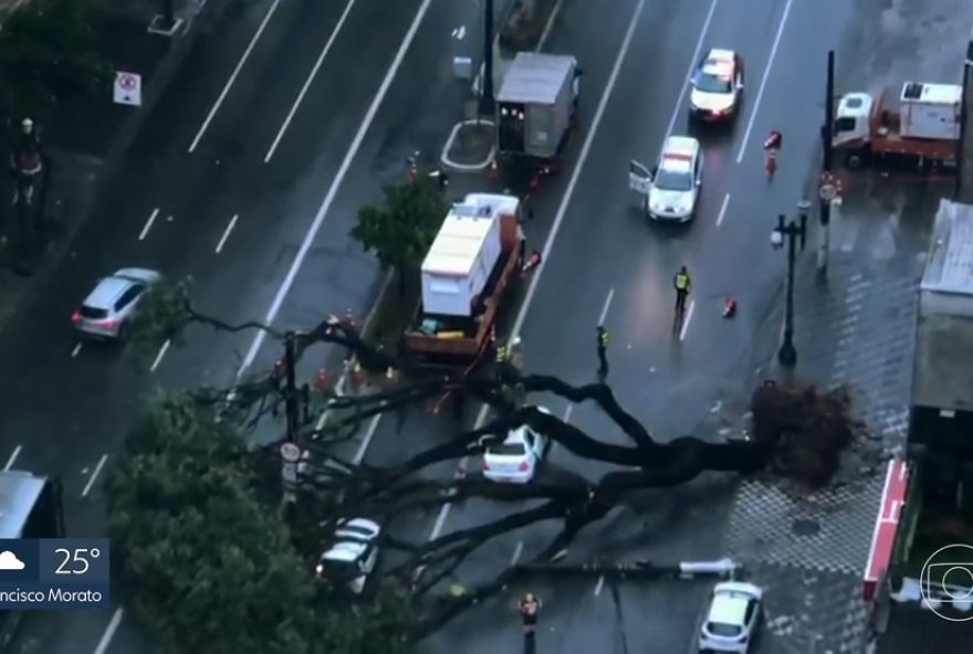 taxista-morre-em-acidente-fatal-durante-chuva-forte-em-sao-paulo3A-alerta-de-quedas-de-arvores-e-danos-na-rede-eletrica.-solidariedade-e-cooperacao-apos-tragedia