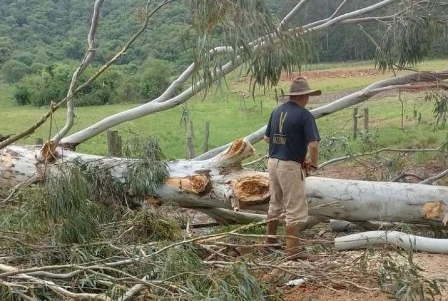 temporal-causa-destelhamento-de-15-casas-e-queda-de-20-arvores-na-cidade-de-nova-esperanca-do-sul
