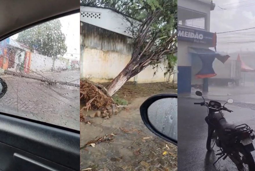 temporal-causa-estragos-e-queda-de-postes-em-macarani2C-bahia temporal-causa-estragos-e-queda-de-postes-em-macarani2C-bahia
