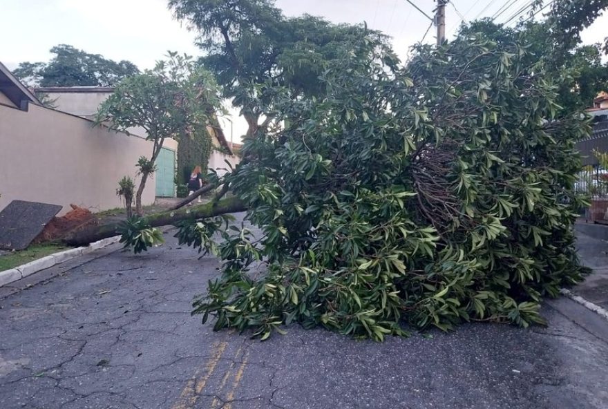 temporal-derruba-arvores-e-deixa-sao-jose-dos-campos-sem-energia-e-agua