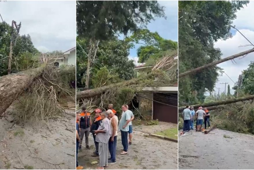 temporal-em-caieiras3A-arvores-caidas-e-bairro-sem-energia-por-mais-de-22-horas temporal-em-caieiras3A-arvores-caidas-e-bairro-sem-energia-por-mais-de-22-horas