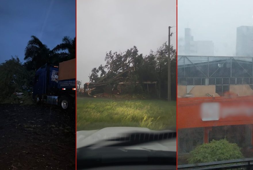 temporal-em-palmeira-das-missoes3A-danos-graves-e-falta-de-energia-eletrica-na-regiao temporal-em-palmeira-das-missoes3A-danos-graves-e-falta-de-energia-eletrica-na-regiao