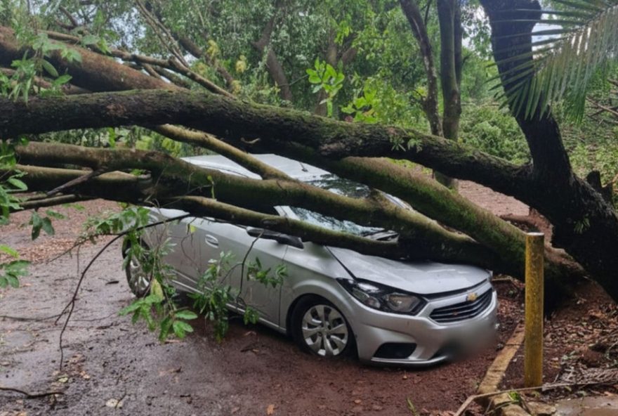 temporal-em-ribeirao-preto3A-clube-regatas-fecha-temporariamente-apos-danos.-acompanhe-as-informacoes temporal-em-ribeirao-preto3A-clube-regatas-fecha-temporariamente-apos-danos.-acompanhe-as-informacoes