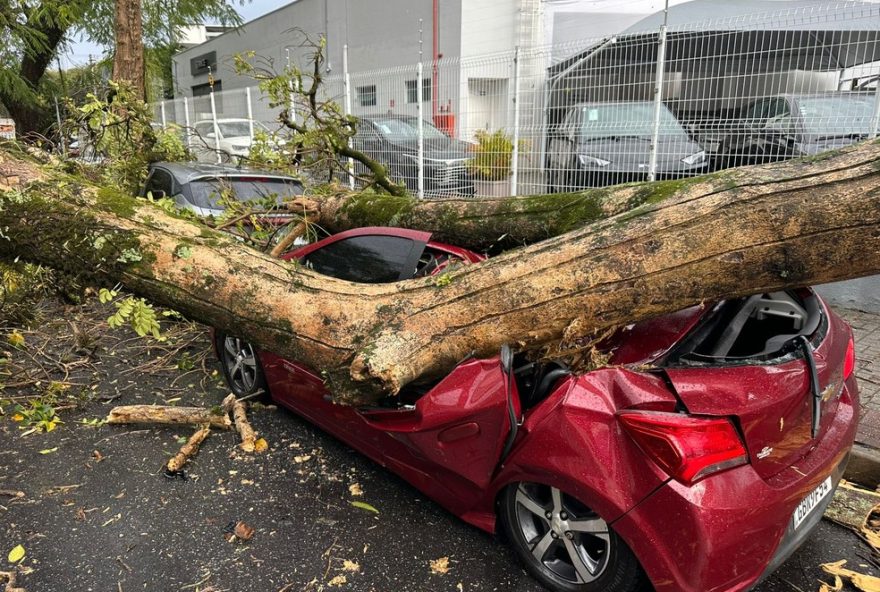 temporal-em-sao-jose-dos-campos-causa-estragos-e-destroi-carro-com-queda-de-galho-de-arvore-de-13-metros