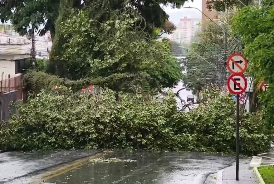 temporal-em-sao-jose-dos-campos3A-125-km2Fh-de-vento-derrubam-28-arvores2C-mas-sem-feridos temporal-em-sao-jose-dos-campos3A-125-km2Fh-de-vento-derrubam-28-arvores2C-mas-sem-feridos