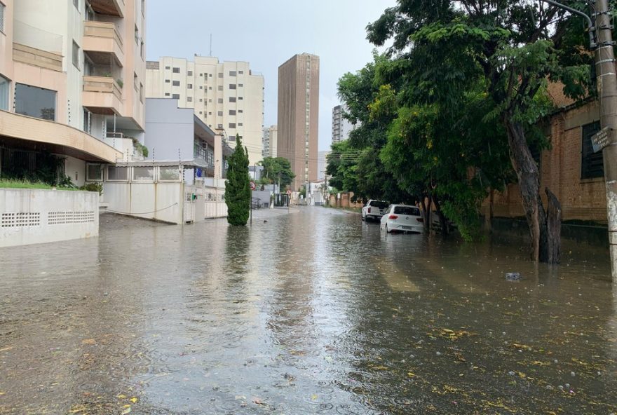 temporal-em-taubate-derruba-43-arvores-com-ventos-de-ate-101-km2Fh