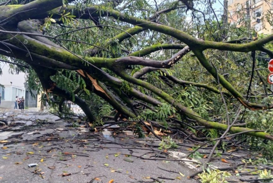 temporal-provoca-alagamentos2C-queda-de-poste-e-arvores-em-bh