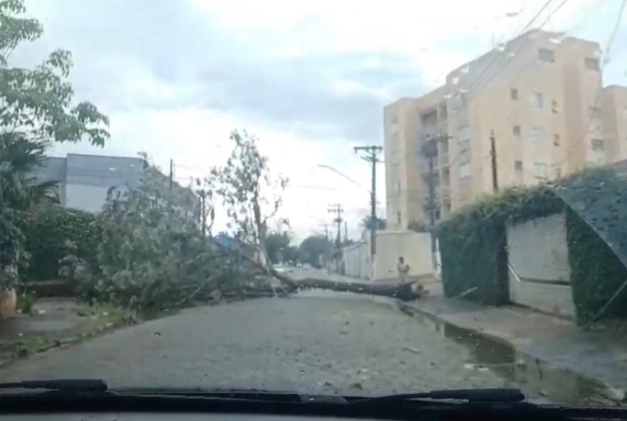 temporal-provoca-estragos-em-jacarei3A-queda-de-arvores2C-placa-presa-na-fiacao-eletrica-e-acao-rapida-das-autoridades-para-minimizar-impactos-no-vale-do-paraiba