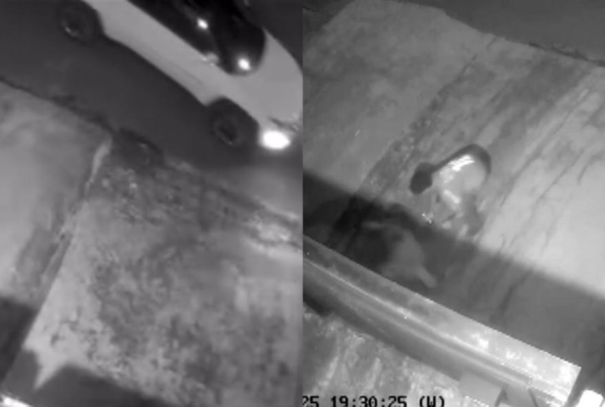 tentativa-de-sequestro-aterroriza-criancas-em-iretama2C-parana3A-policia-civil-investiga-caso-registrado-por-cameras-de-seguranca